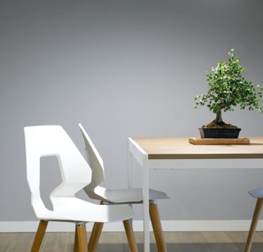Modern white chair with wooden legs next to a desk with bonsai plant